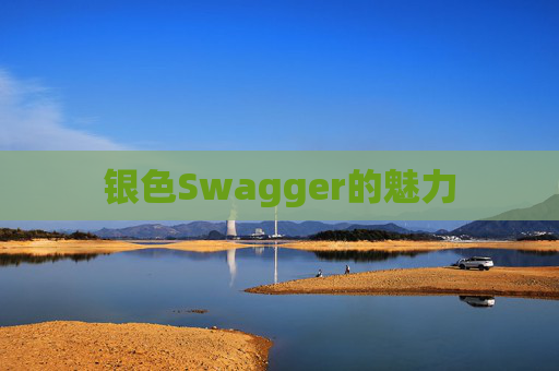银色Swagger的魅力